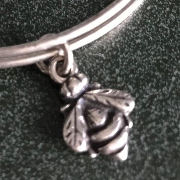 Alex And Ani Expandable Wire Bangle Bracelet - Picture 13 of 16